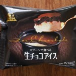森永製菓スプーンで食べる生チョコアイス